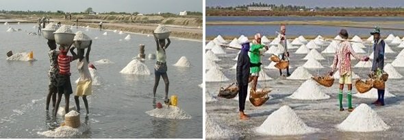 Methods Of Obtaining Salt Advantages And Disadvantages Of Anthropology Economic Development And Production