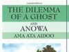 The Dilemma Of A Ghost