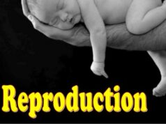 TOPIC 6: REPRODUCTION | BIOLOGY FORM 3