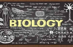 The Characteristics of Living Things BIOLOGY NOTES FOR ORDINARY LEVEL (FORM 1 - 4)