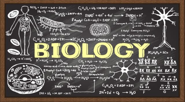 The Characteristics of Living Things BIOLOGY NOTES FOR ORDINARY LEVEL (FORM 1 - 4)