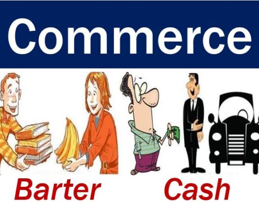 COMMERCE NOTES FOR ORDINARY LEVEL DOWNLOAD OUR APP CLICK HERE FOR UPDATES DAILY