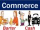 Commerce Notes For Ordinary Level Download Our App Click Here For Updates Daily