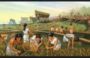 AGRARIAN REVOLUTION CAUSES AND IMPACTS