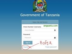 Jinsi ya Kupata Salary Slip Portal Tanzania