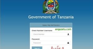 Jinsi ya Kupata Salary Slip Portal Tanzania