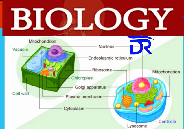 Biology Notes For Ordinary Level Form 1 - 4