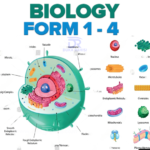 Biology Notes For Ordinary Level Form 1 - 4