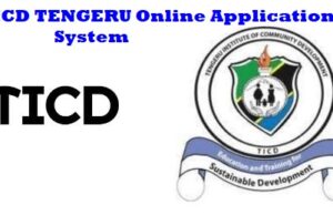 TICD TENGERU Online Application System | Apply Now