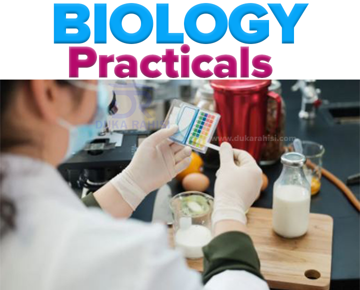 Biology Practical Biology Practical Questions With Answers Towards Necta Csee 2023 Food Test Biology​​ Practical Questions And Answers  Food Test Biology​​ Practical Questions And Answers  Necta Guidelines For Practical Examinations Biology Guidelines For Practical Examinations Biology
