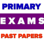 Primary School Exams All Primary Schools Examination Past Papers | Free Download