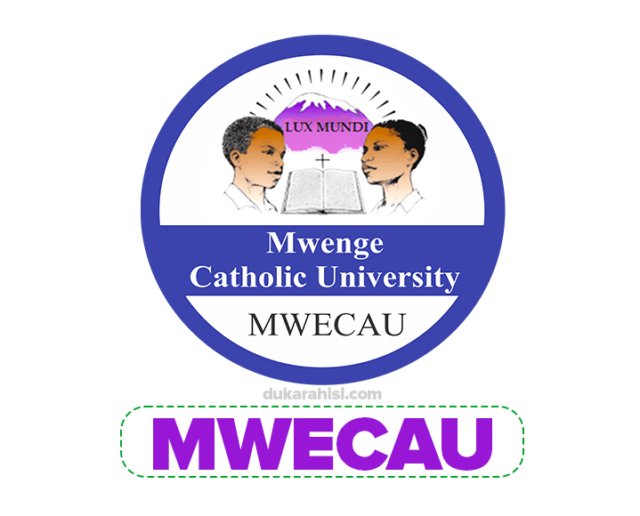 UDSM FEE STRUCTURE AND TUITION FEES 2025 2026 visual data 4