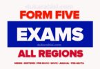 Form Five Examinations 2025/2026 PDF All Subjects-All Combinations